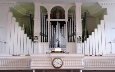 organ pic