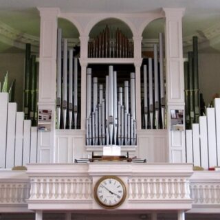 organ pic